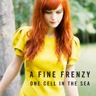 A Fine Frenzy - One Cell In The Sea - Cover