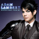 Adam Lambert - Whataya Want From Me - Cover