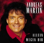Andreas Martin - Allein wegen dir - Cover