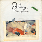 Antony And The Johnsons - Swanlights - Album Cover