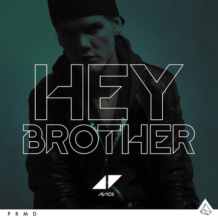 Avicii - Hey Brother - Cover