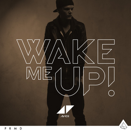 Avicii - Wake Me Up - Cover