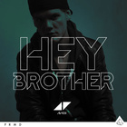 Avicii - Hey Brother - Cover