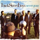 Backstreet Boys - Never Gone - Cover