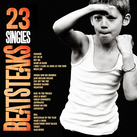 Beatsteaks - 23 Singles - Cover