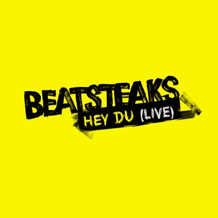 Beatsteaks - Hey Du (live) - Cover