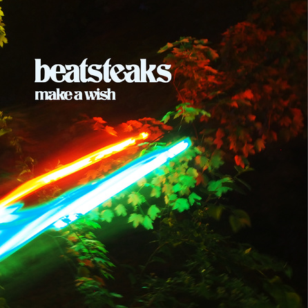 Beatsteaks - Make A Wish - Cover