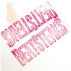 Beatsteaks - Ticket - Make A Wish vs. The Krauts - Cover