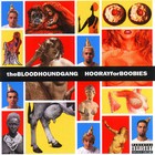 Bloodhound Gang - Hooray For Boobies 1998 - Cover