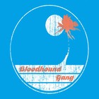 Bloodhound Gang - Screwing You On The Beach At Night 2007 - Cover