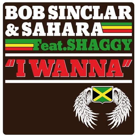 Bob Sinclar - I Wanna (feat. Shaggy) - Cover