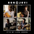 Bon Jovi - It's My Life - Cover