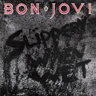 Bon Jovi - Slippery When Wet - Cover