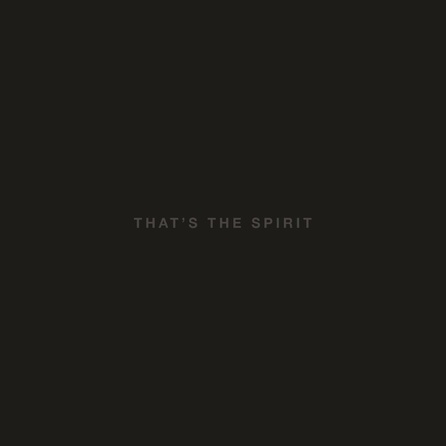 Bring Me The Horizon - That's The Spirit - Cover