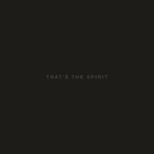 Bring Me The Horizon - That's The Spirit - Cover