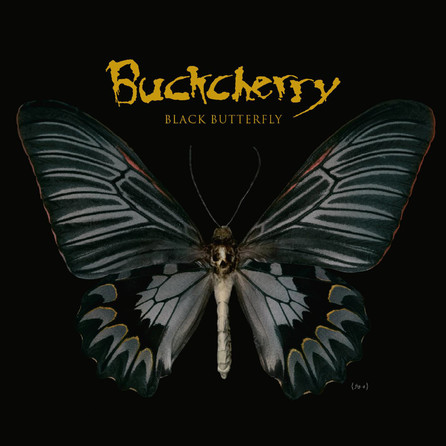 Buckcherry - Black Butterfly - Cover
