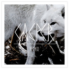 Casper - XOXO - Album Titel