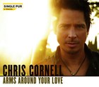 Chris Cornell - Arms Around Your Love - Cover