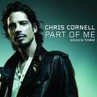 Chris Cornell - Part Of Me - Cover