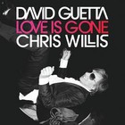 David Guetta - Love Is Gone 2007 - Cover