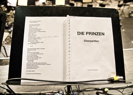 Die Prinzen - "Eine Nacht in der Oper" - 12