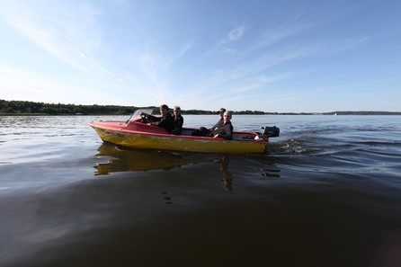 Element Of Crime - Immer da wo du bist bin ich nie - 7