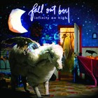 Fall Out Boy - Infinity On High - Cover
