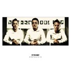 Fettes Brot - Amnesie - Cover