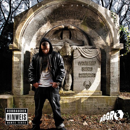 Fler - Warum bist du so? - Cover