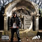 Fler - Warum bist du so? - Cover