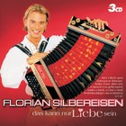 Florian Silbereisen - Das kann nur Liebe sein - Cover