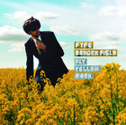 Fyfe Dangerfield - Fly Yellow Moon - Cover