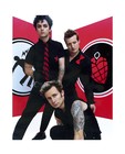 Green Day - American Idiot - 8