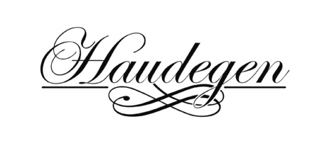 Haudegen - Schriftzug