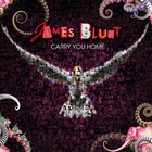 James Blunt - Carry You Home - Cover