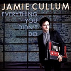Jamie Cullum - Everything You Didn't Do - Cover