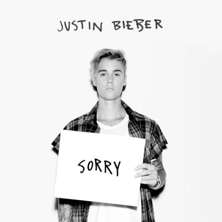Justin Bieber - Sorry - Cover