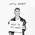 Justin Bieber - What Do You Mean? - Cover
