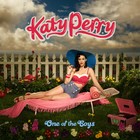 Katy Perry - One Of The Boys - Cover