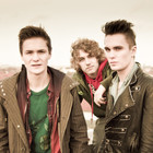 Killerpilze Porträt