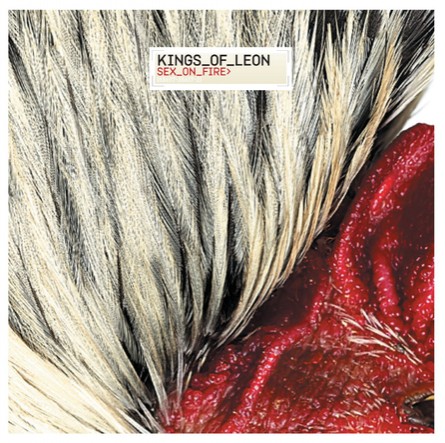 Kings Of Leon - Sex On Fire - Cover