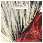 Kings Of Leon - Sex On Fire - Cover