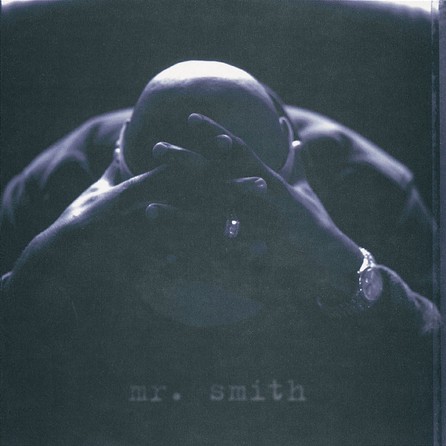 LL Cool J - Mr. Smith - Cover