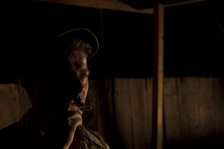 Michael Hirte - "Liebesgrüße von der Mundharmonika - Gold Edition" 2013 - 08