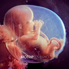 MoTrip - Embryo (Cover)