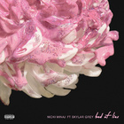 Nicki Minaj - Bed Of Lies feat. Skylar Grey - Cover