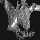 Oceansize - Self Preserved While The Bodies Foat Up - Cover