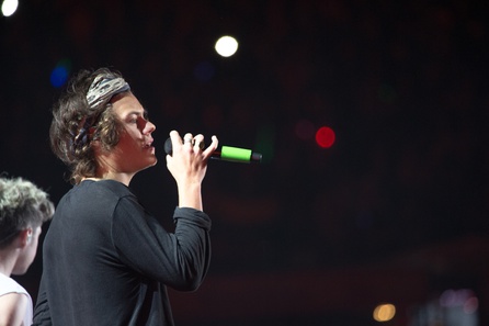 One Direction Auftakt der Stadiontour in Bogota, Kolumbien (25. April 2014) 5