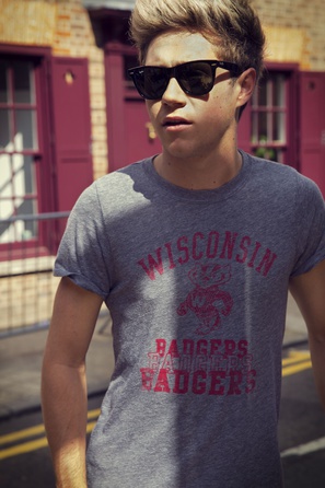 One Direction Niall (2013)