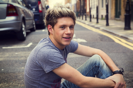 One Direction Niall (2013) 3